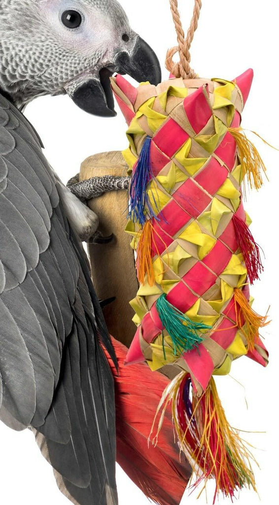 03424 Large Carnival - Bonka Bird Toys
