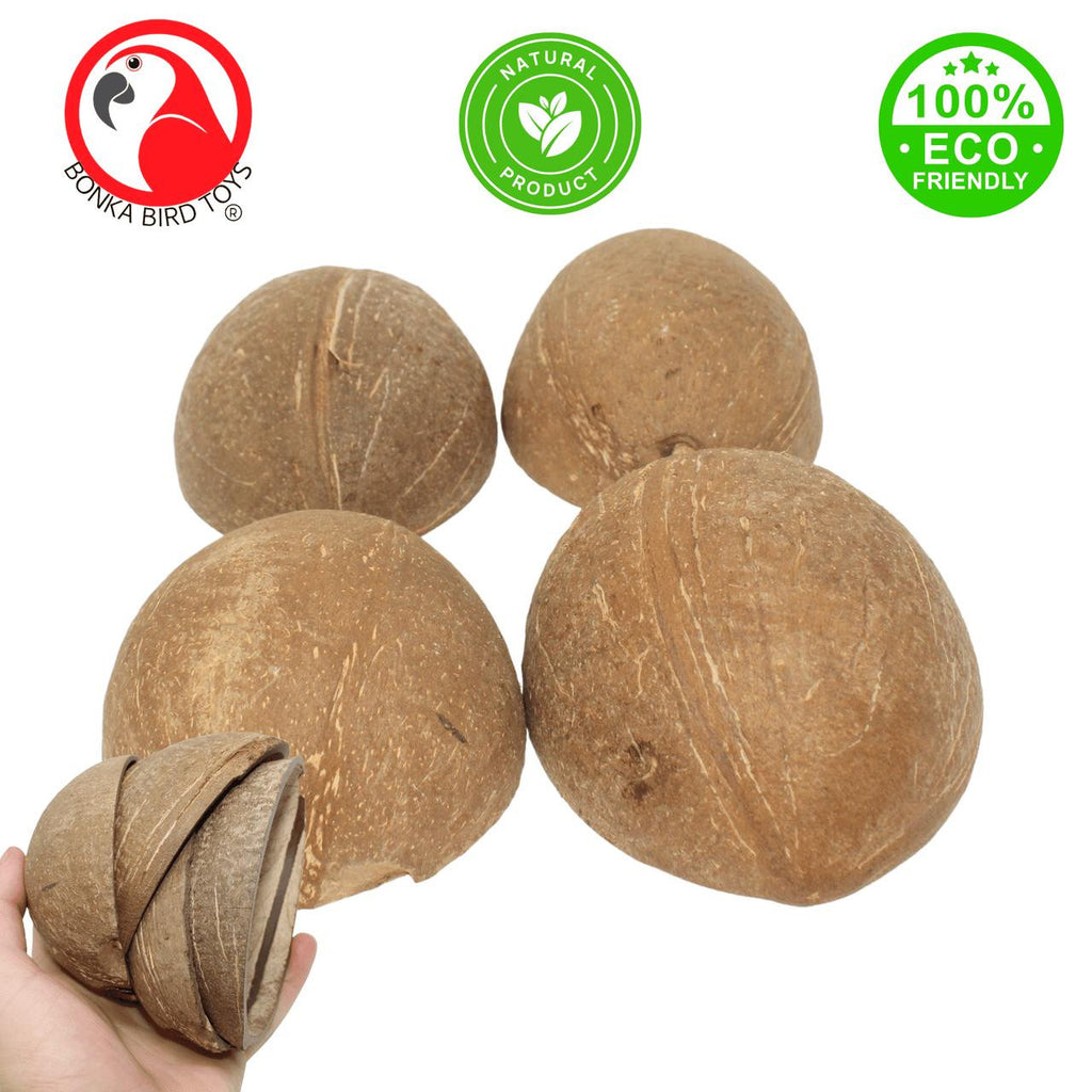 The 1031 Pk4 Half Shell Coconuts from Bonka Bird Toys are natural and versatile chewable items that birds love! These natural coconuts look great in cages.