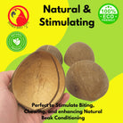 The 1031 Pk4 Half Shell Coconuts from Bonka Bird Toys are natural and versatile chewable items that birds love! These natural coconuts look great in cages.