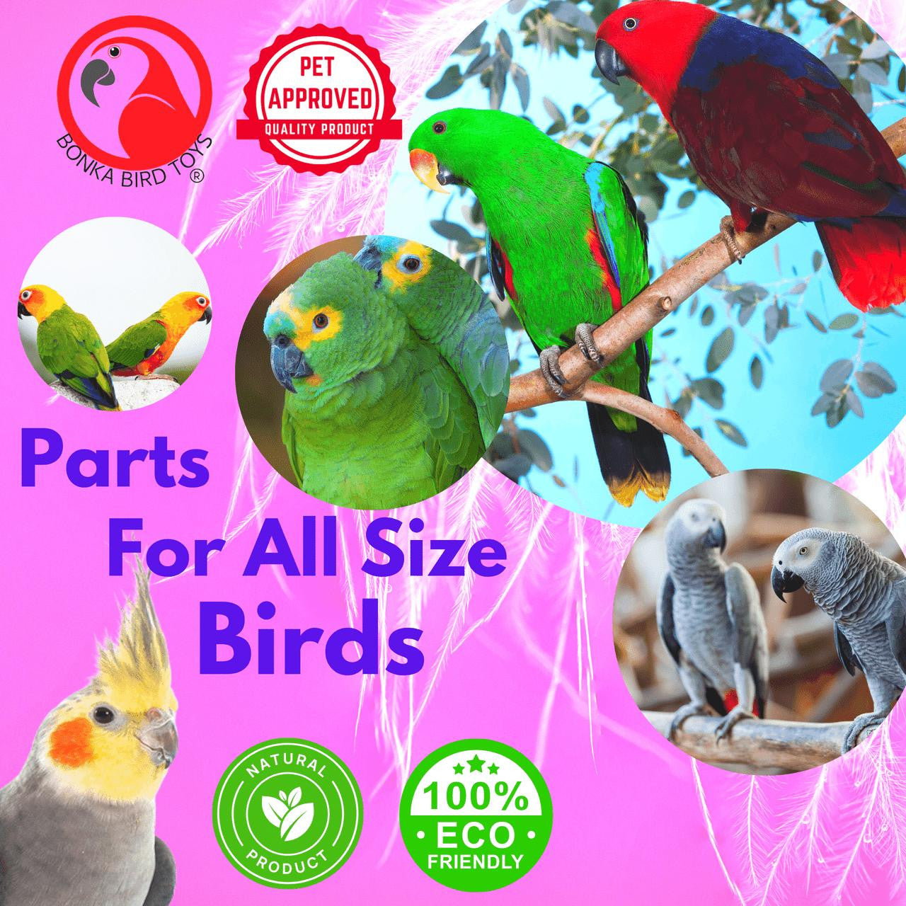 The 1031 Pk4 Half Shell Coconuts from Bonka Bird Toys are natural and versatile chewable items that birds love! These natural coconuts look great in cages.