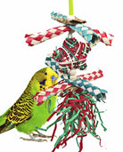 1040X Christmas Foraging Star - Bonka Bird Toys