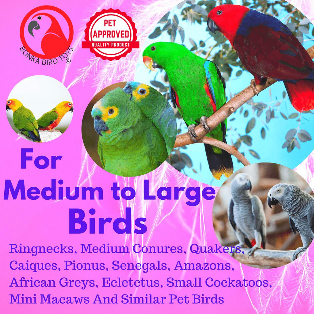 1042 Duo Foraging Heart - Bonka Bird Toys