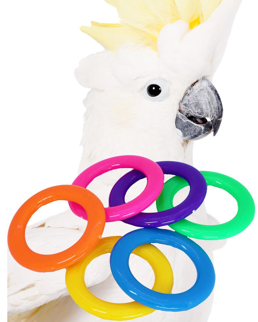 1196 Pk6 Plastic Cane Rack Rings - Bonka Bird Toys