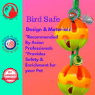 1203 Duo Ball - Bonka Bird Toys