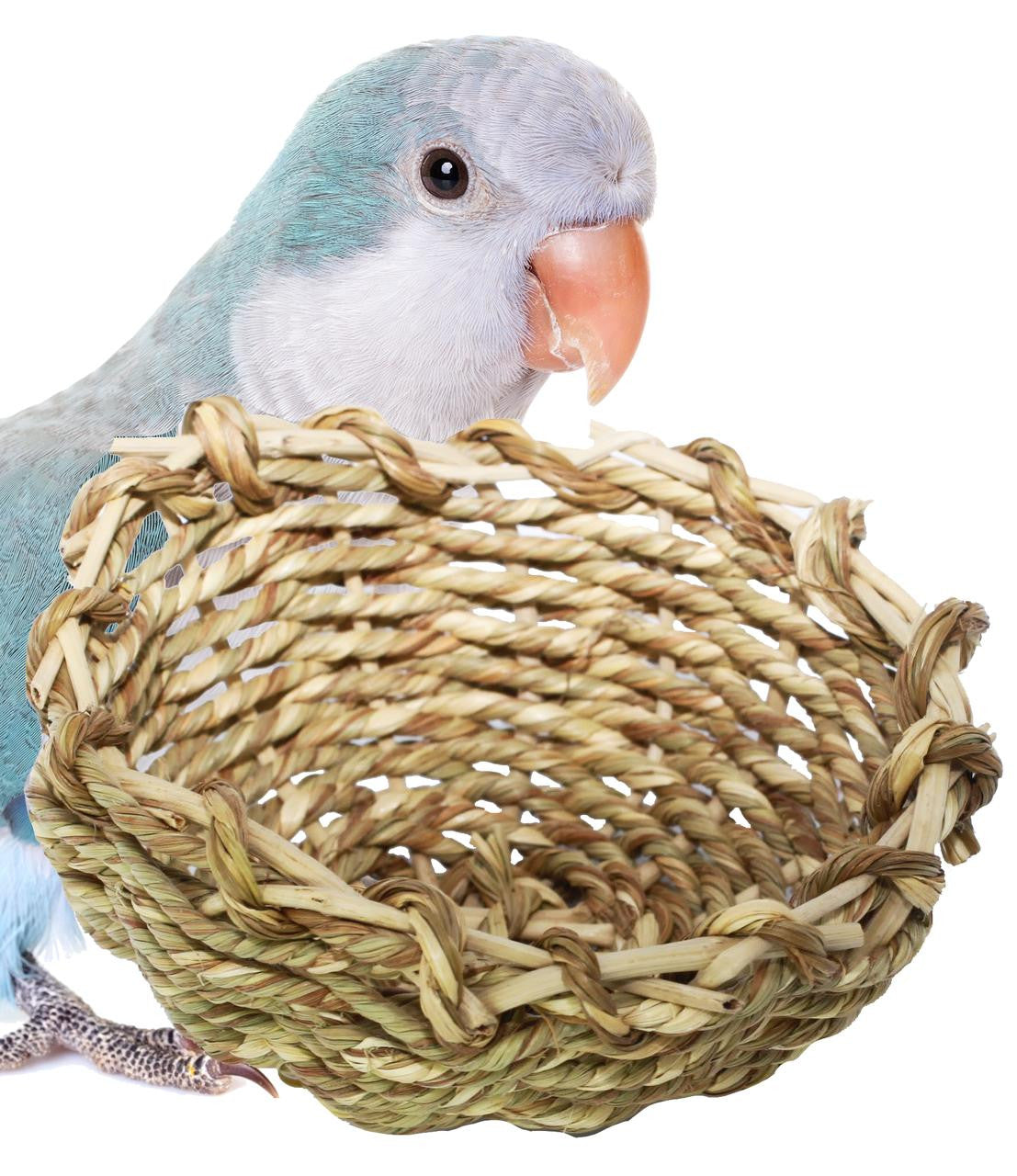 1262 Natural Grass Bowl - Bonka Bird Toys