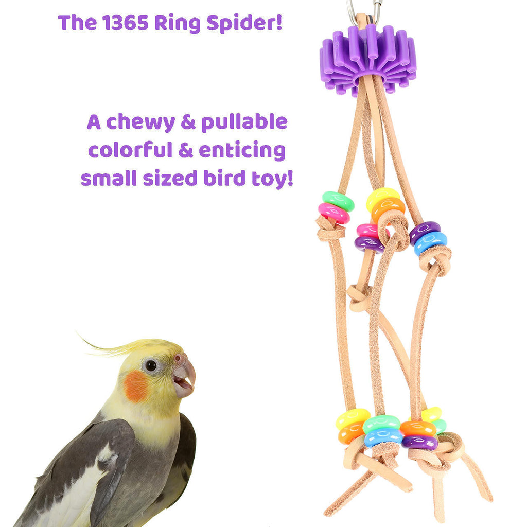 1365 Ring Spider - Bonka Bird Toys