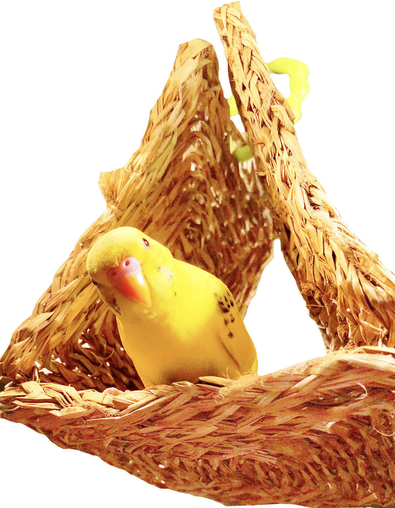 1465 Seagrass Tent - Bonka Bird Toys