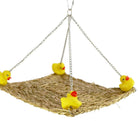 1554 Ducky Platform - Bonka Bird Toys