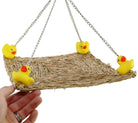 1554 Ducky Platform - Bonka Bird Toys