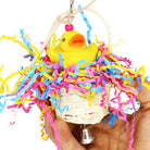 1660 Ducky Basket - Bonka Bird Toys