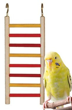 1778 Ladder 10" x 3" - Bonka Bird Toys