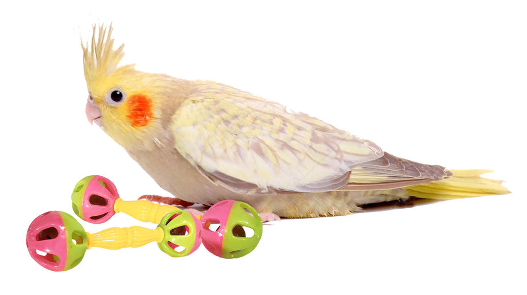 Birdie Barbells - Bonka Bird Toys