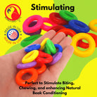 2289 Pk14 Plastic Round Ring - Bonka Bird Toys