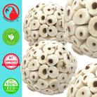 2363 Pk2 Large Sola Atta Ball - Bonka Bird Toys