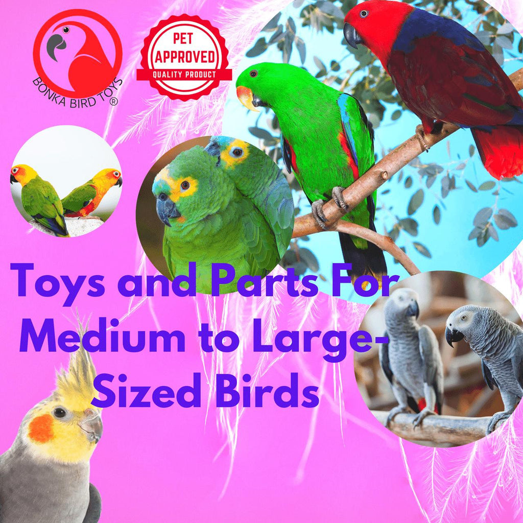 2369 Big 5-Inch Plastic Ball - Bonka Bird Toys