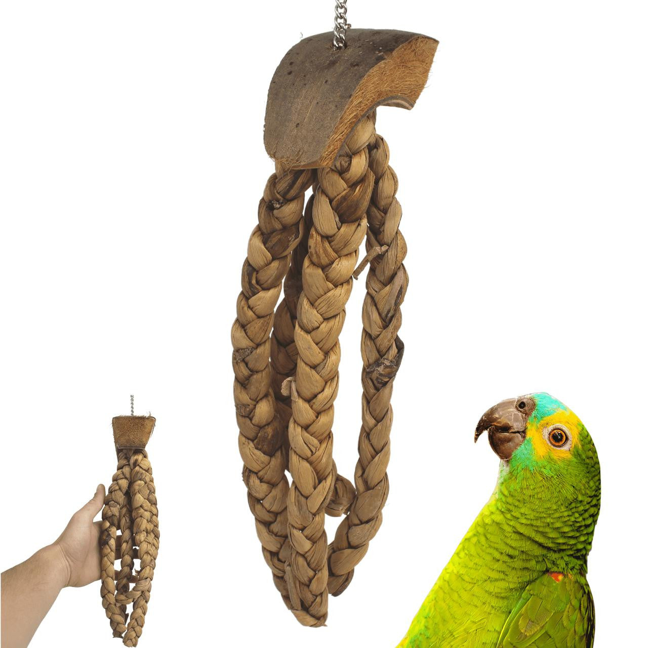 2824 Coco Platt - Bonka Bird Toys