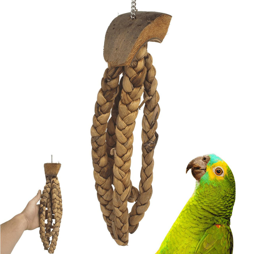 2824 Coco Platt - Bonka Bird Toys
