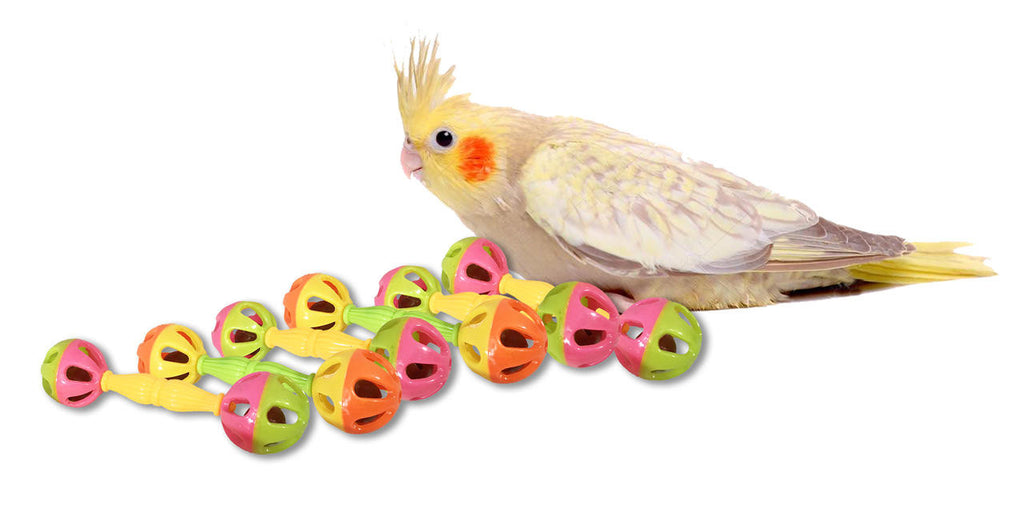3161 pk6 Birdie Barbell - Bonka Bird Toys
