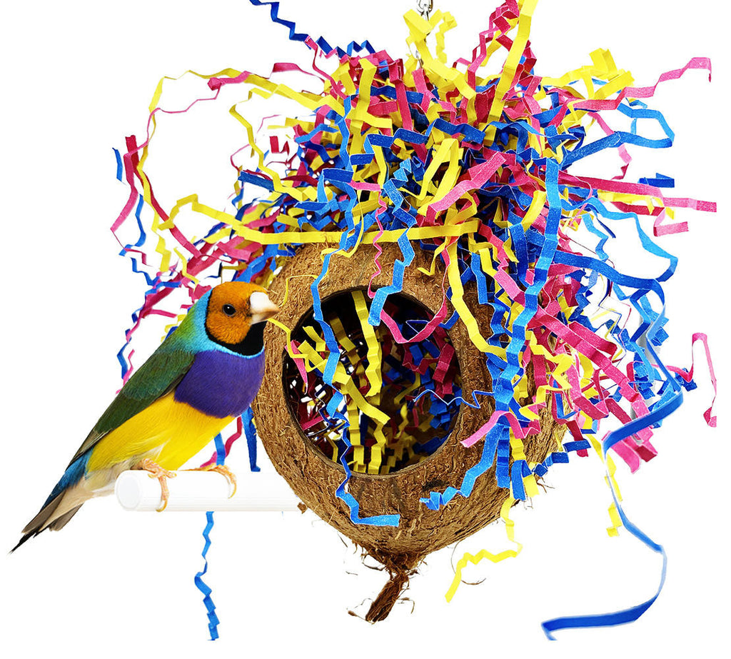 3195 Party Coco - Bonka Bird Toys