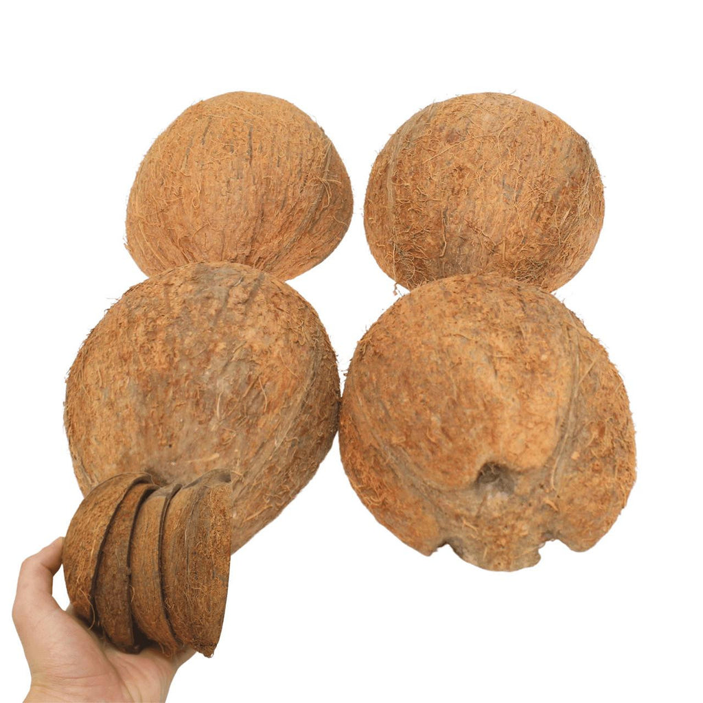 Bonka Bird Toys 3275 Pk4 Half Shell Coconuts with Fiber