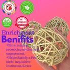 3352 Pk3 Large Natural Vine Ball - Bonka Bird Toys