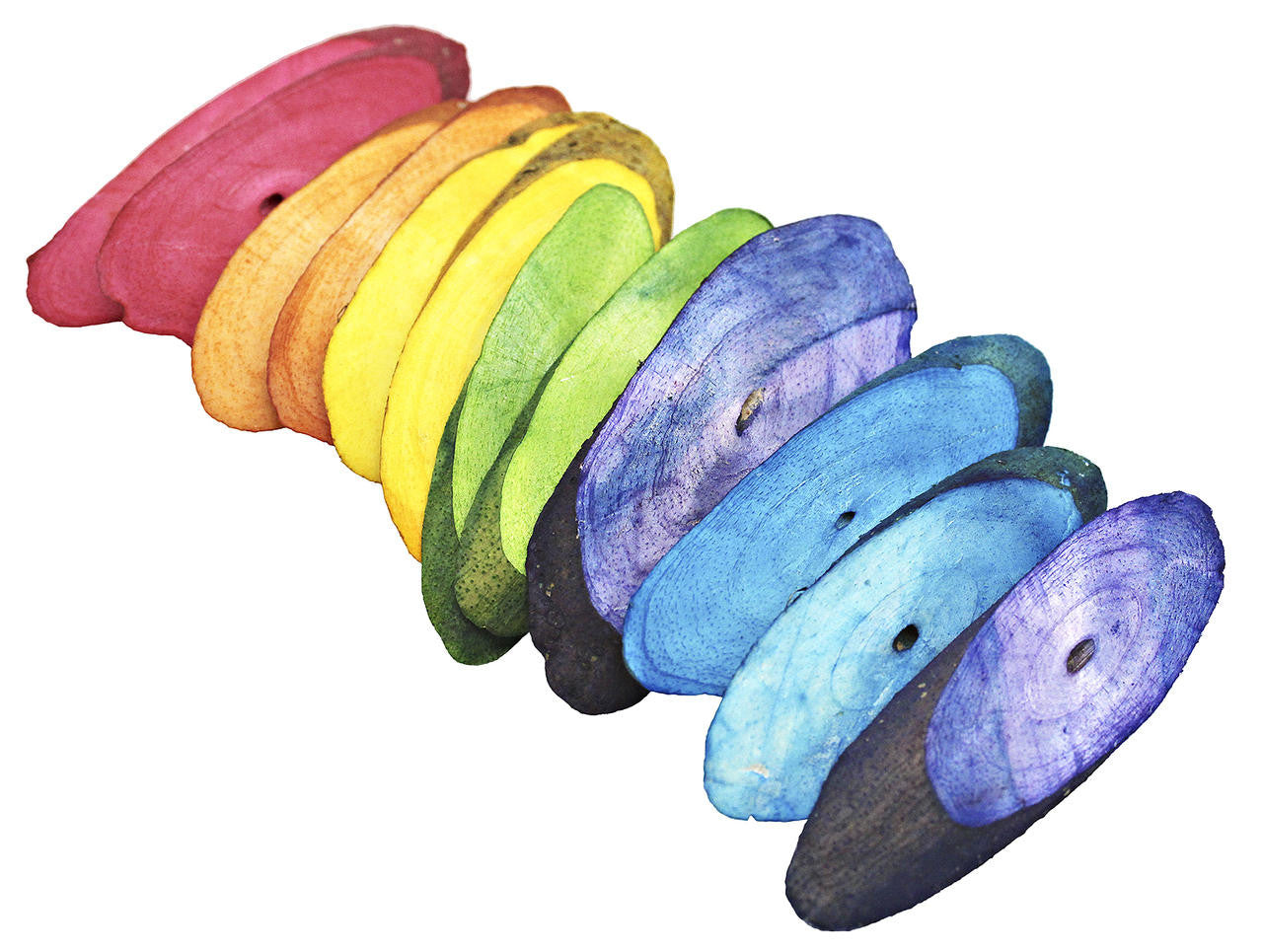 3402 Pk12 Rainbow Sola Slices - Bonka Bird Toys