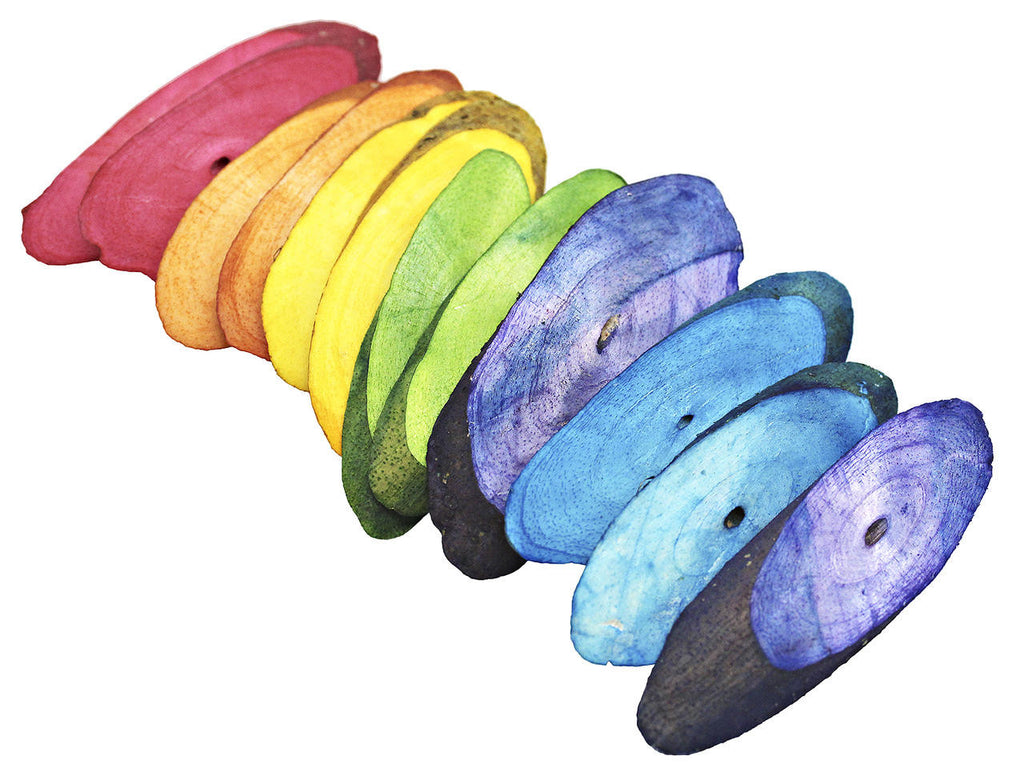 3402 Pk12 Rainbow Sola Slices - Bonka Bird Toys