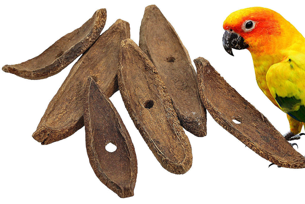 3419 pk6 Mahogany Spoons - Bonka Bird Toys