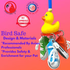 Bonka Bird Toys 3804 Sneaker Duck