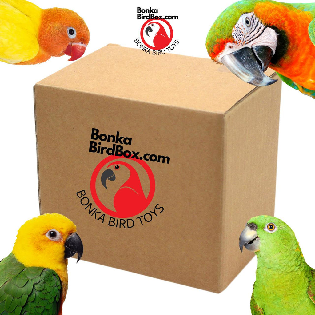 Bonka Bird Box - Small - Bonka Bird Toys