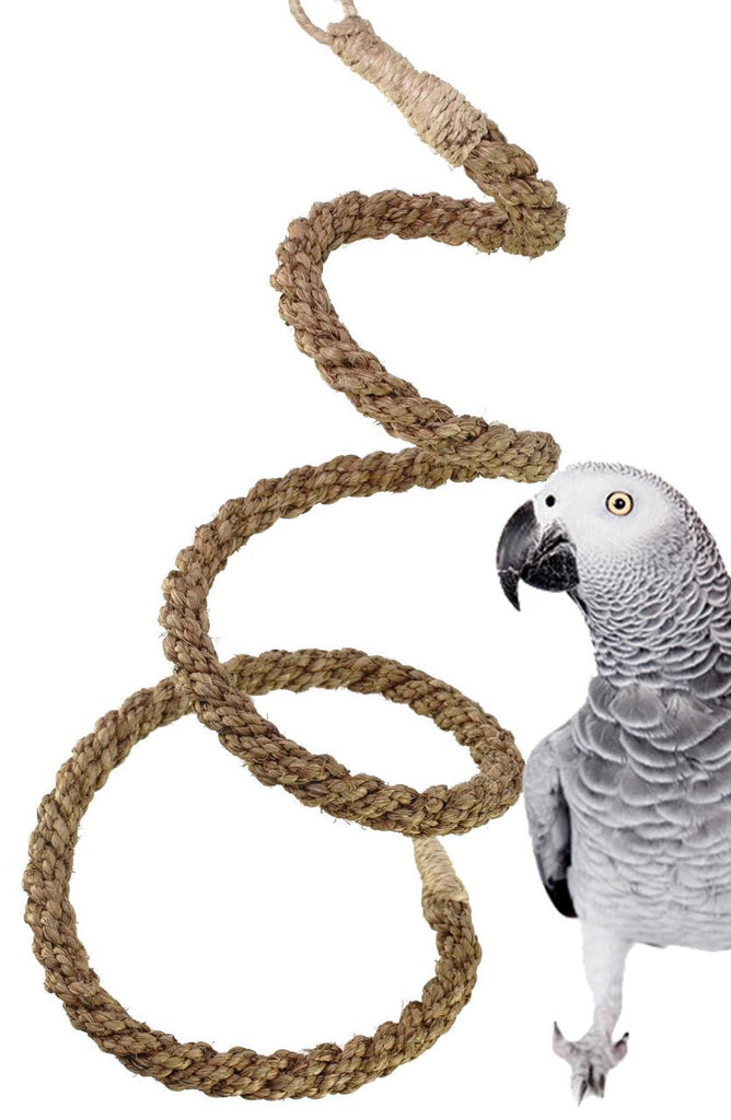Tri-Chain Rope Swing for Small Birds (6) - Dallas Parrots