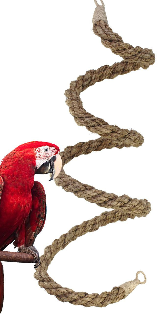 1613 Extra Large Rope Sisal Bungee Boing Coil Swing Bird Toy Parrot Cage Toys