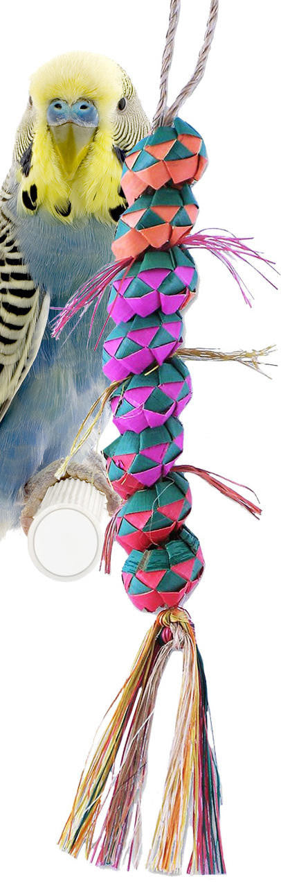 03141 Small Caterpillar - Bonka Bird Toys