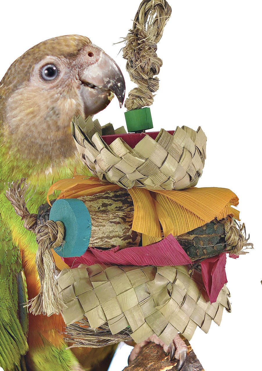 41360 Tropicana - Bonka Bird Toys